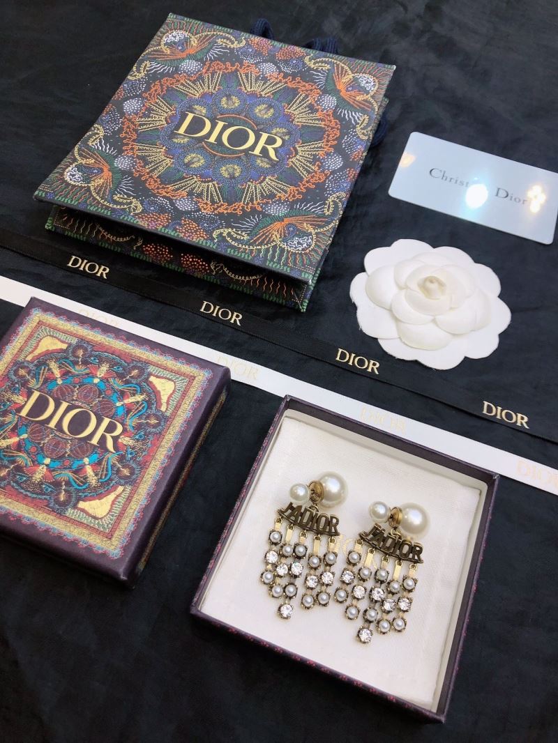 Christian Dior Earrings